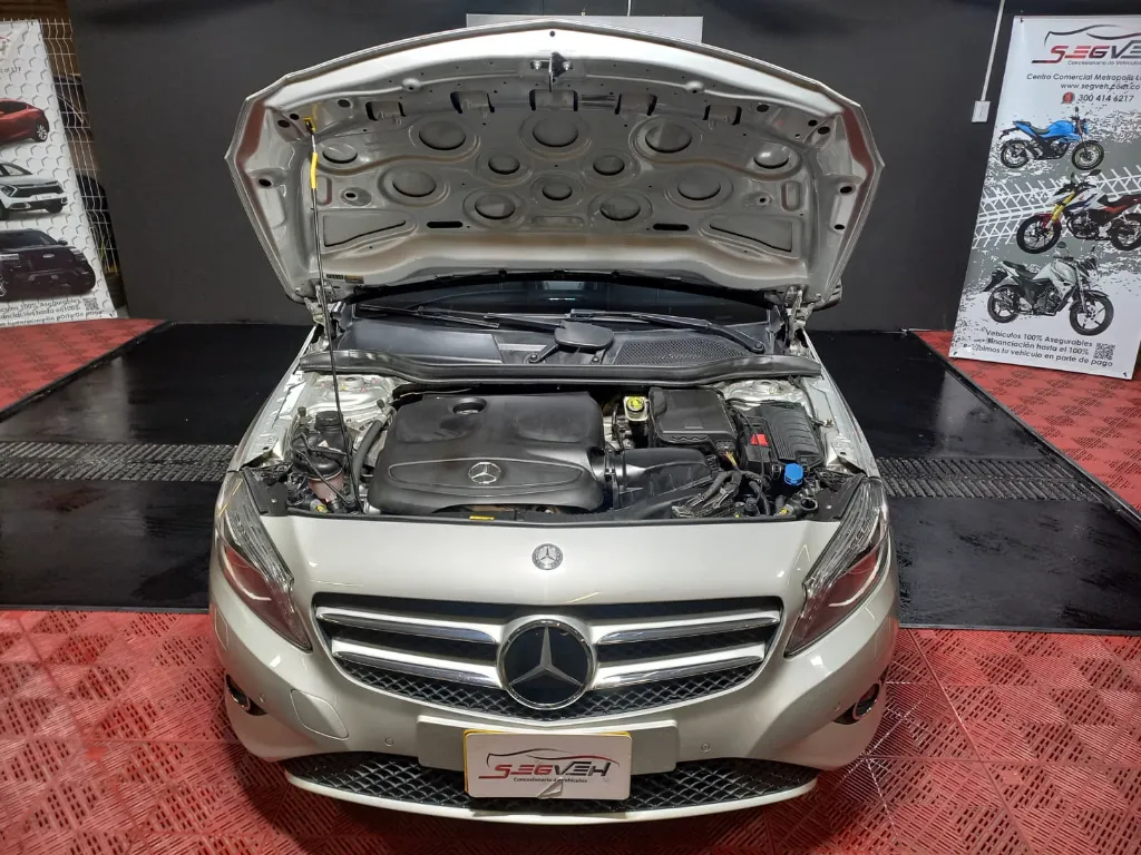 WhatsApp Image 2025-12-22 at 3.30.42 PM.webp