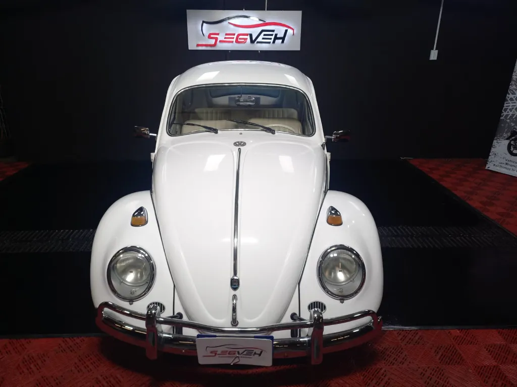 WhatsApp Image 2026-01-31 at 1.12.10 PM (1).webp