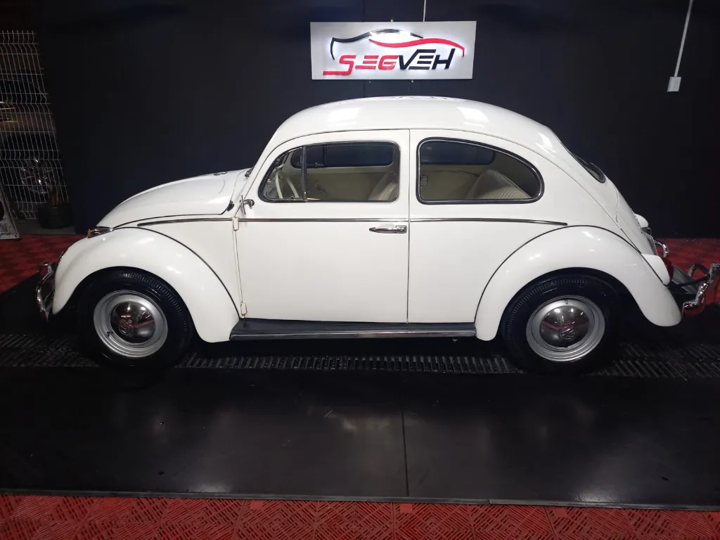 WhatsApp Image 2026-01-31 at 1.12.34 PM (1).webp