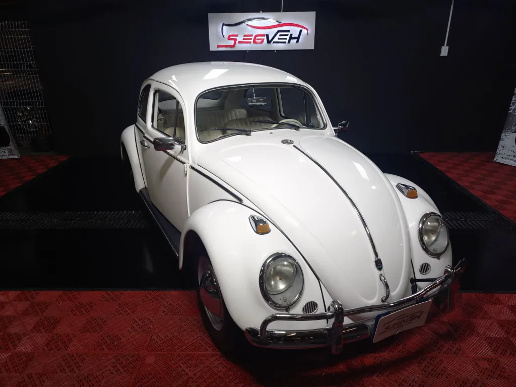 WhatsApp Image 2026-01-31 at 1.12.32 PM.webp