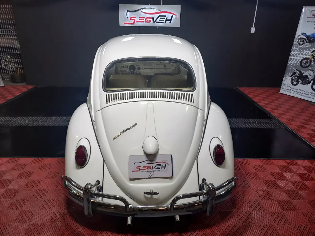 WhatsApp Image 2026-01-31 at 1.12.08 PM (1).webp