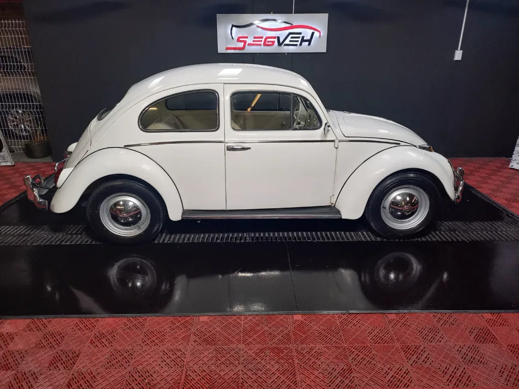 WhatsApp Image 2026-01-31 at 1.12.09 PM (1).webp