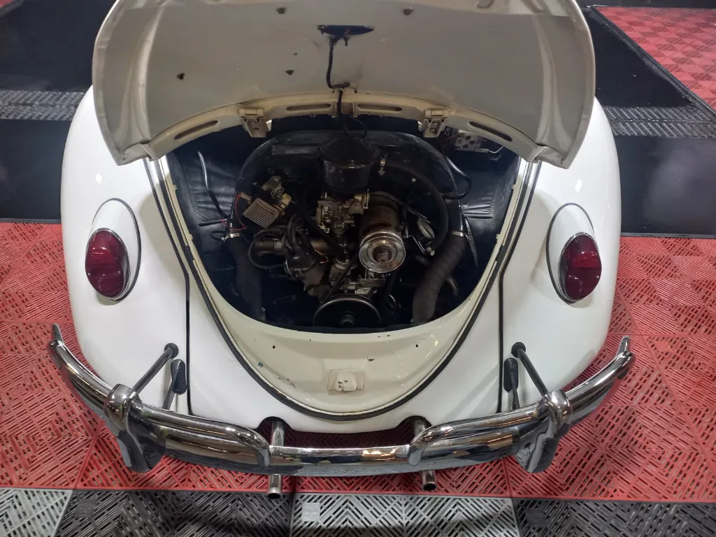 WhatsApp Image 2026-01-31 at 1.12.08 PM.webp