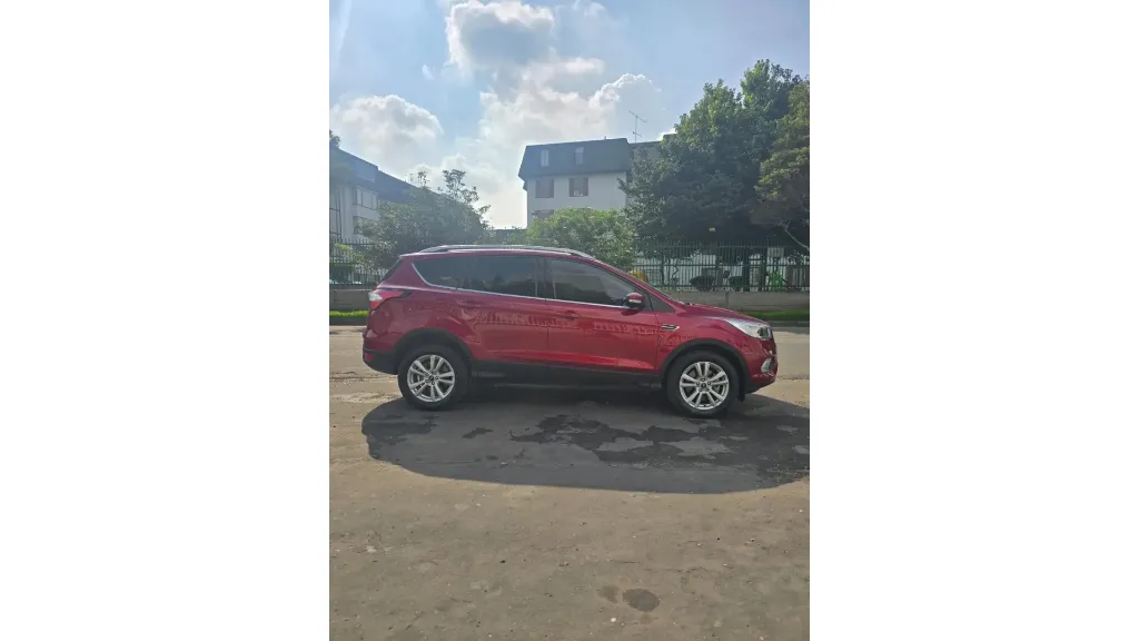 11.webp