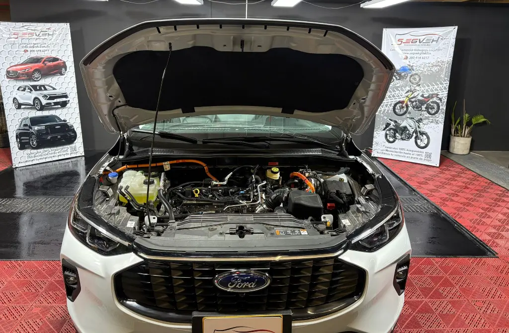 WhatsApp Image 2025-08-25 at 2.27.12 PM (3).webp