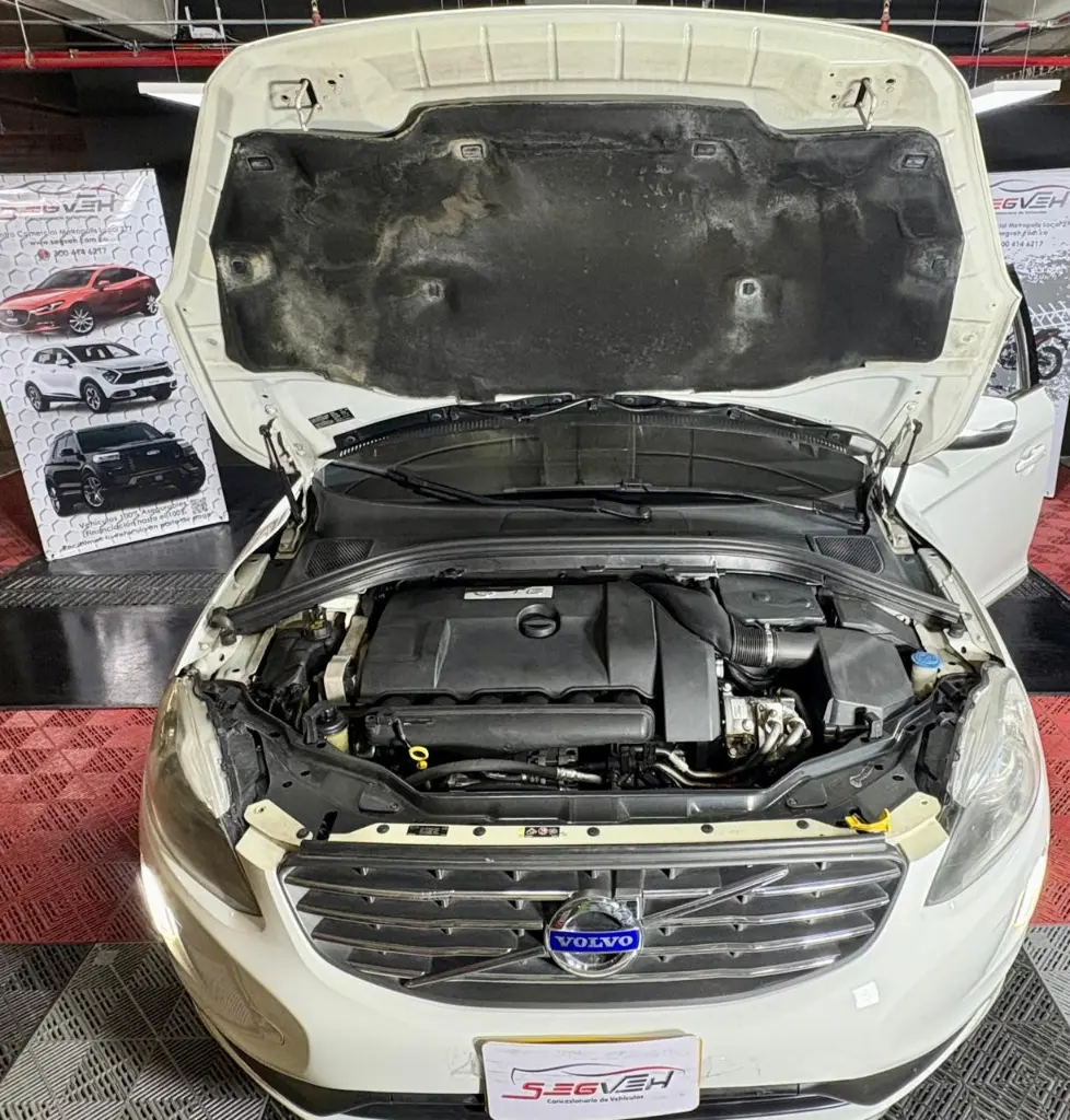 WhatsApp Image 2025-08-30 at 12.15.59 PM (1).webp