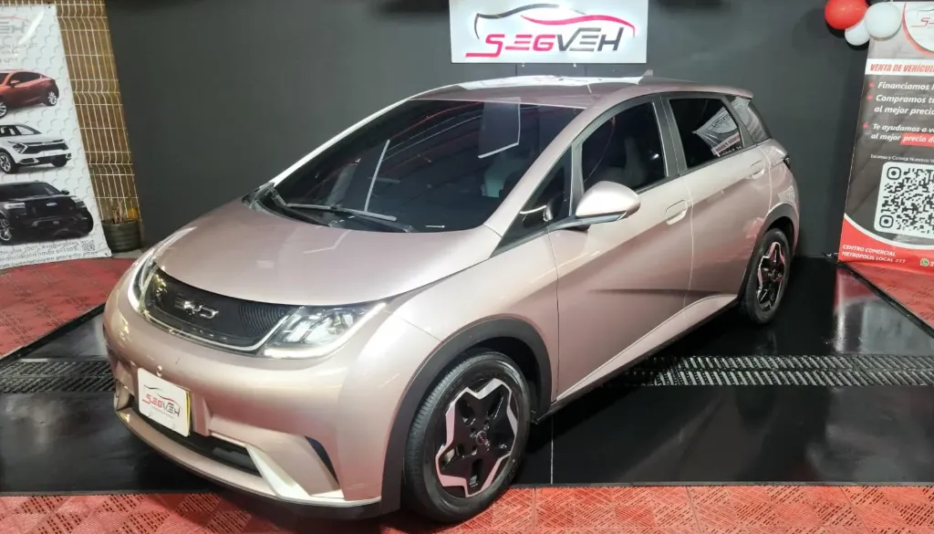 BYD IDOLPHIN: 2025